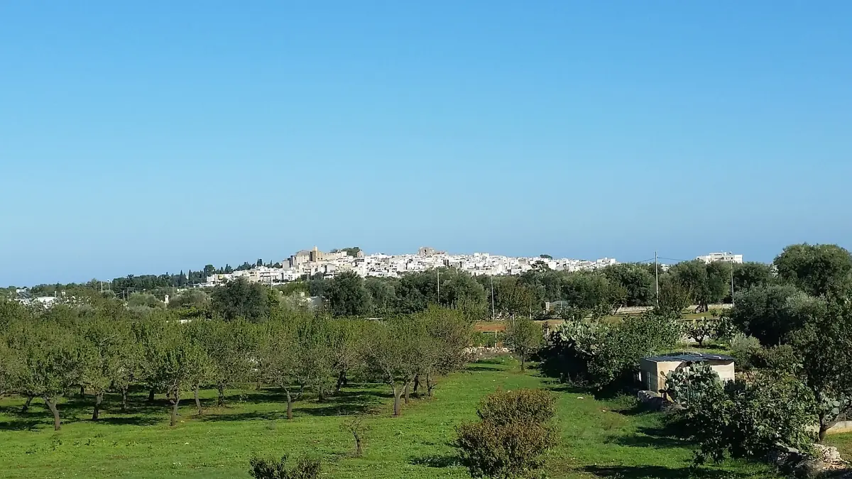 Carovigno sulla collina sopra gli uliveti