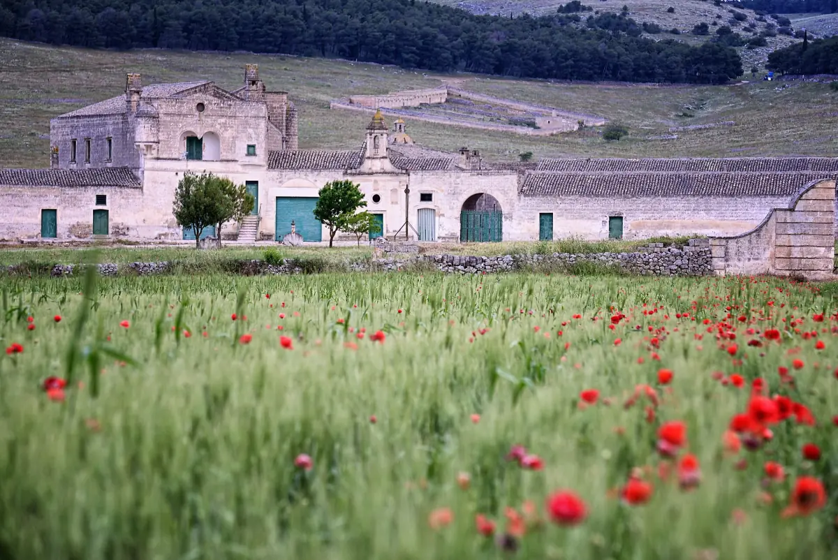 Una masseria dietro un campo di papaveri