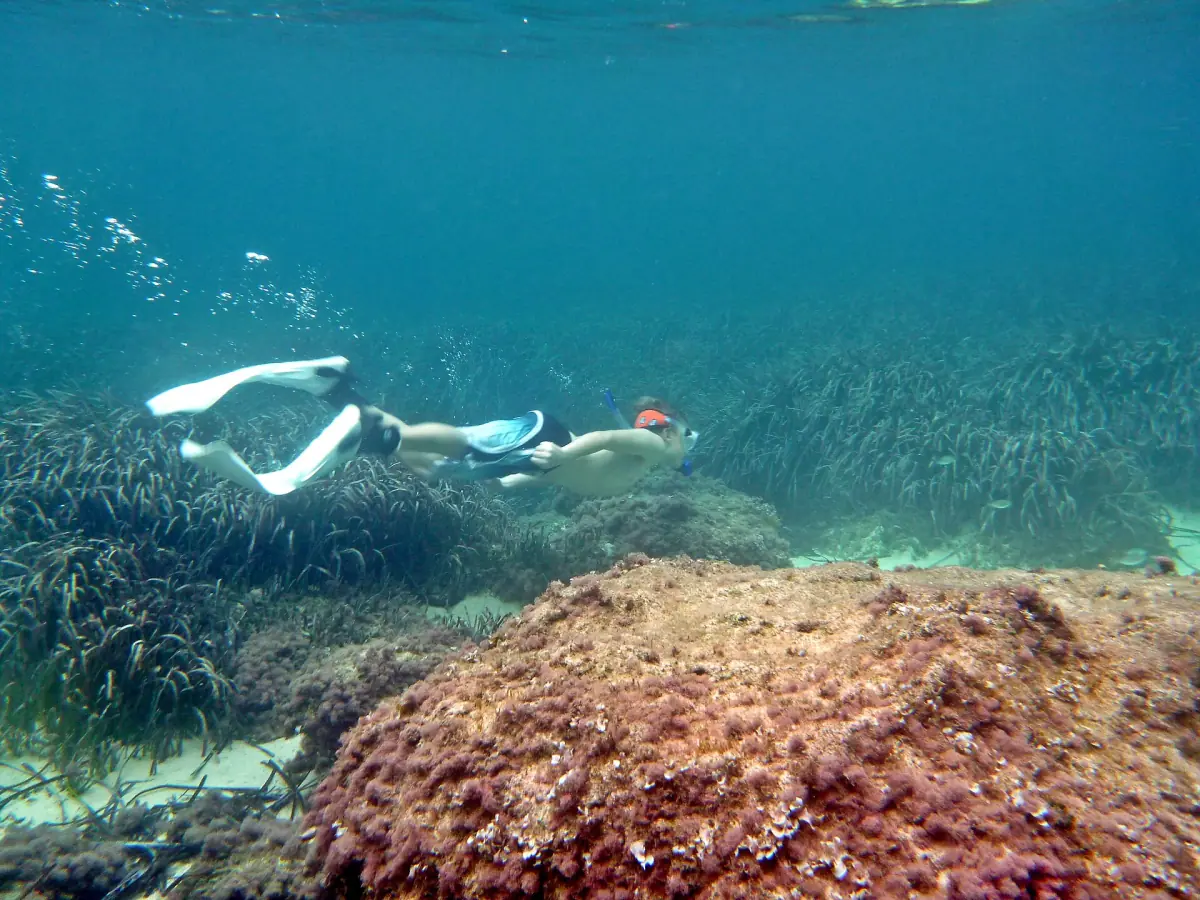 Uno snorkelista sopra una prateria di posidonia