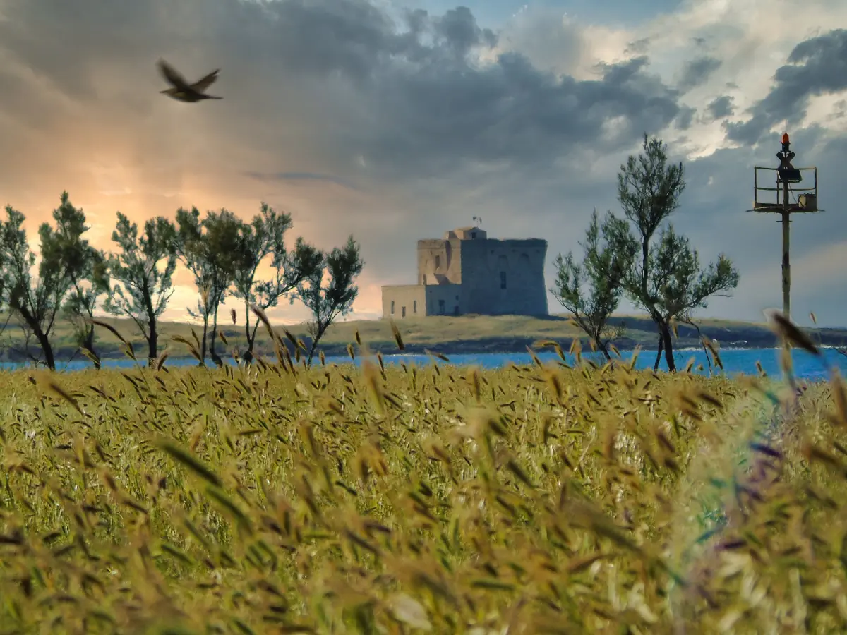 La torre vista oltre le dune e l'erba della riserva