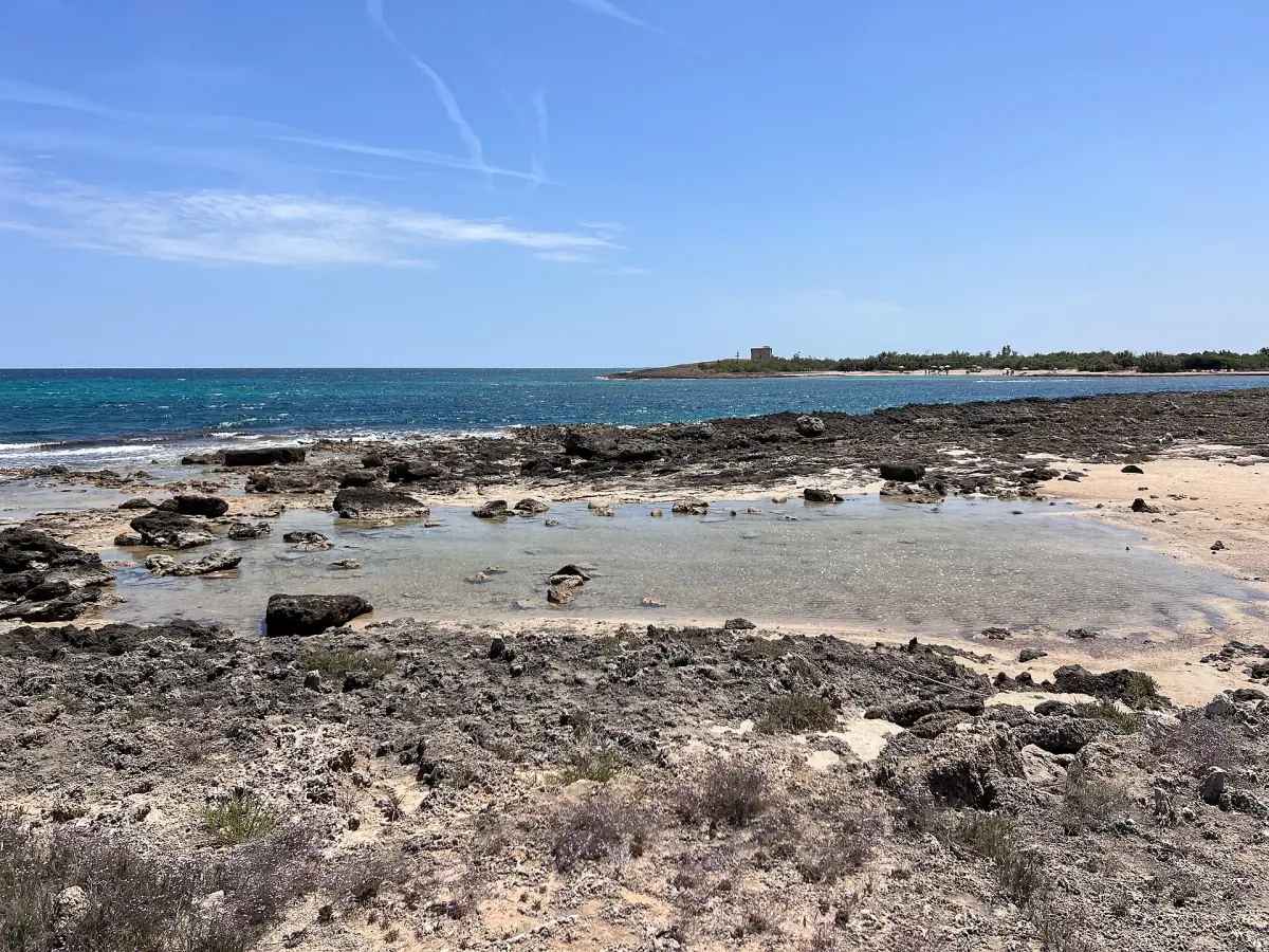 Costa rocciosa e acqua limpida nella riserva
