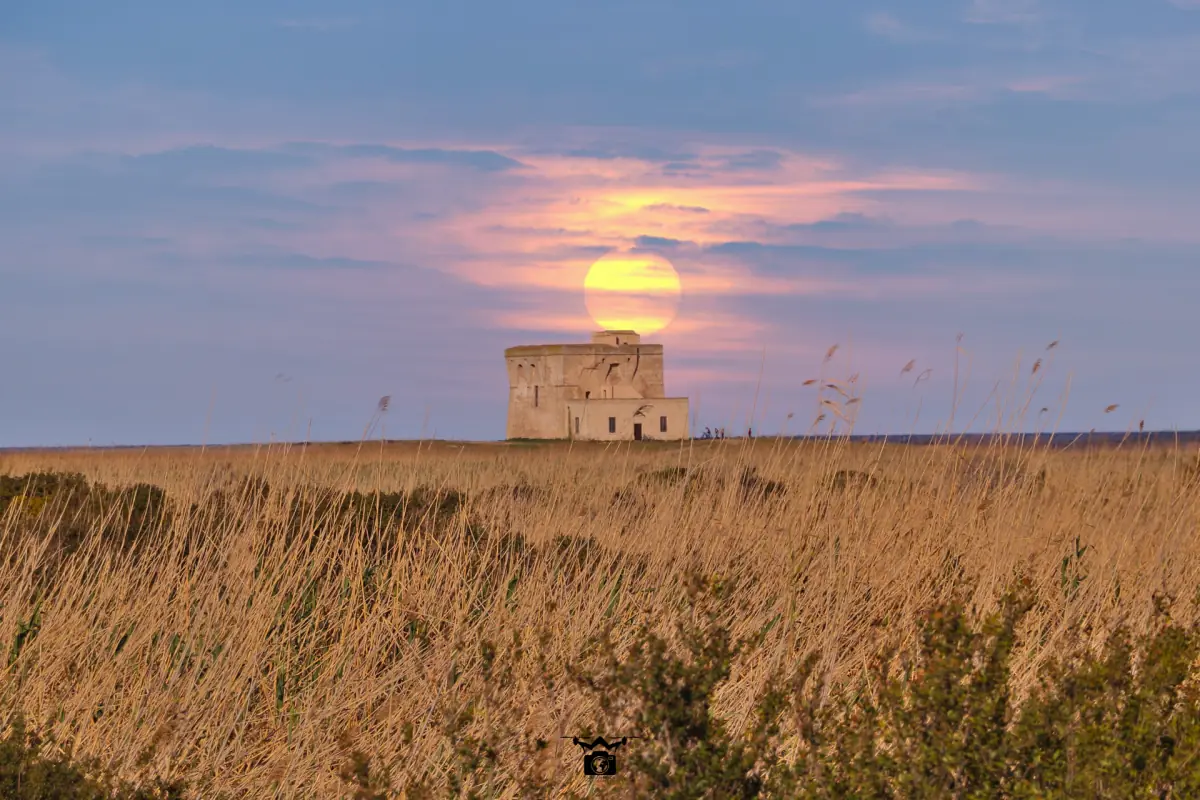 Il sole sorge dietro la torre sull'erba secca